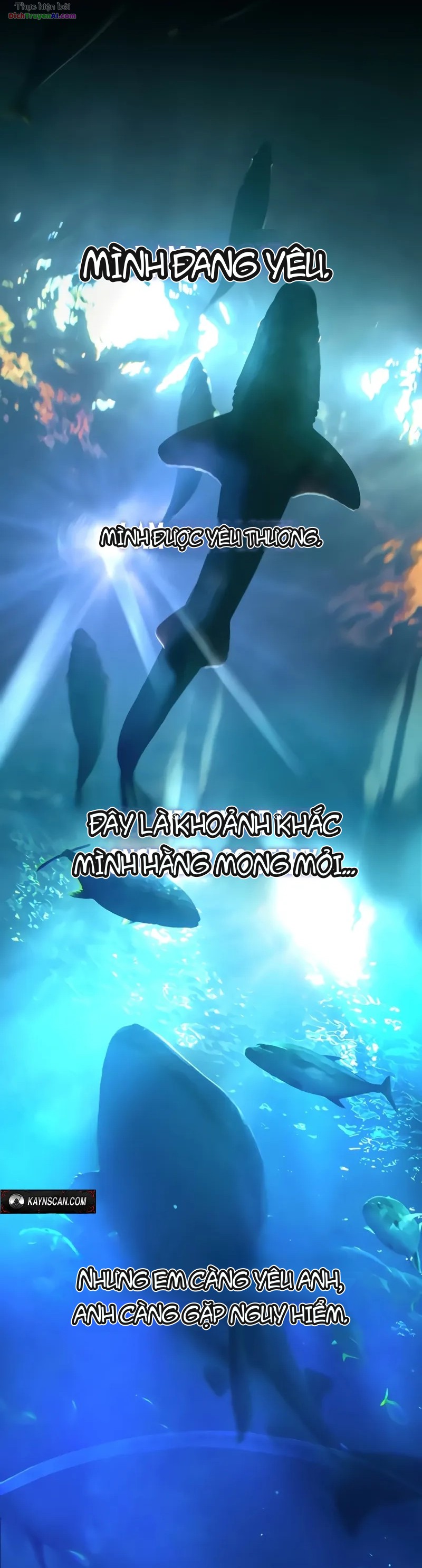 Dàn Harem Của Anh Bán Rong Chapter 47 - 51