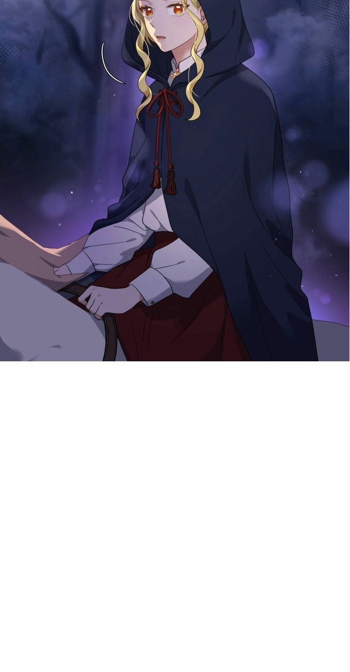 Nàng Công Chúa Hai Mặt Chapter 13 - 21