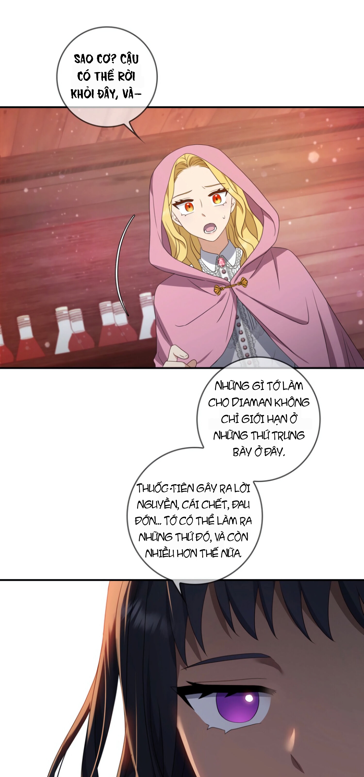 Nàng Công Chúa Hai Mặt Chapter 22 - 21
