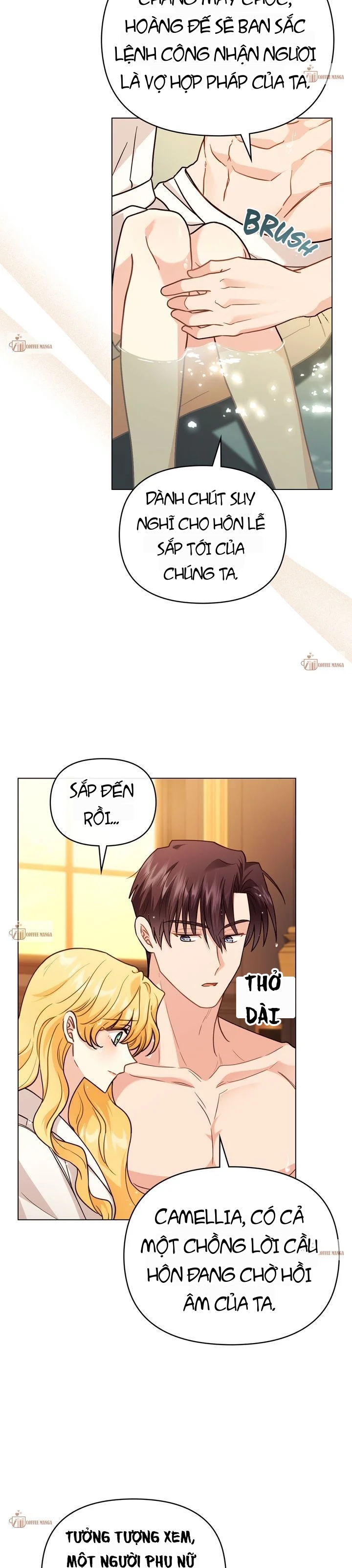 Tìm Lại Camellia Chapter 104 - 17