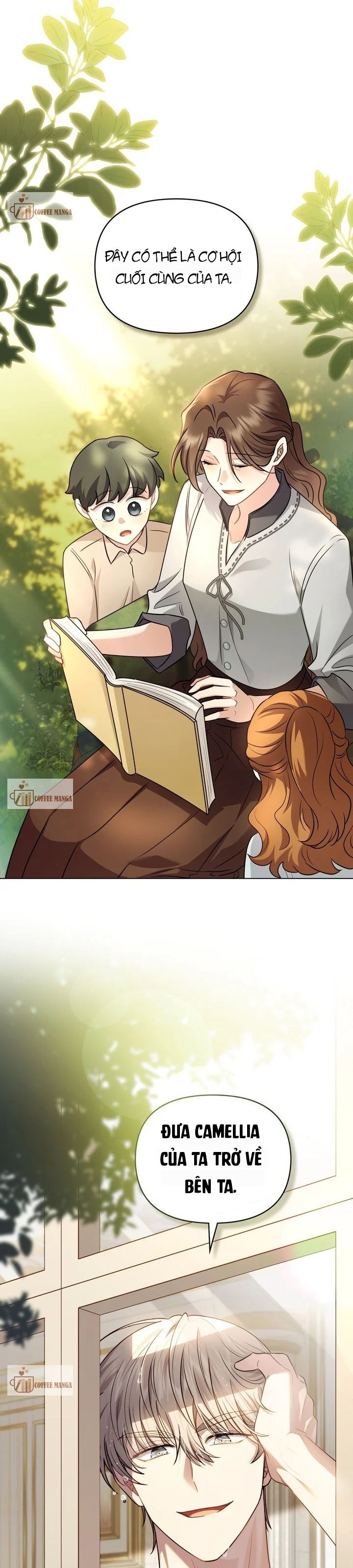 Tìm Lại Camellia Chapter 105 - 29