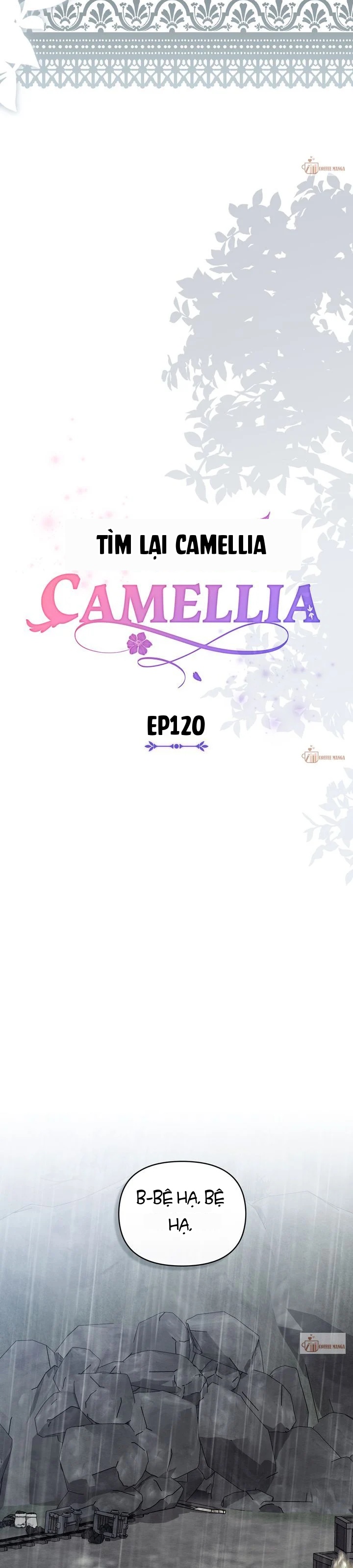 Tìm Lại Camellia Chapter 120 - 4