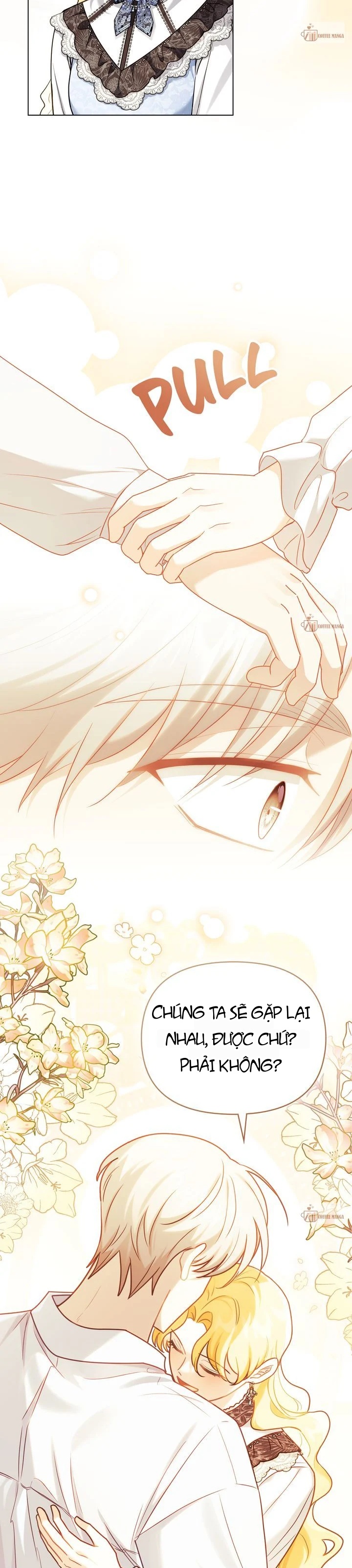 Tìm Lại Camellia Chapter 123 - 12
