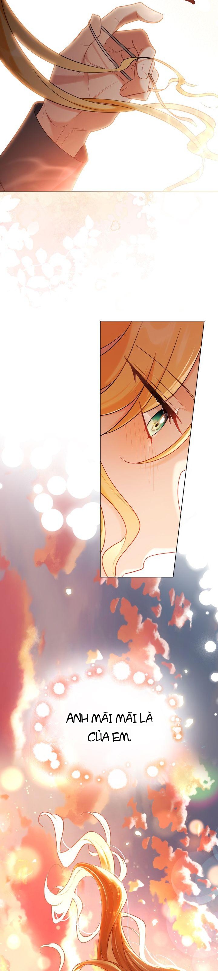 Tìm Lại Camellia Chapter 130 - 20