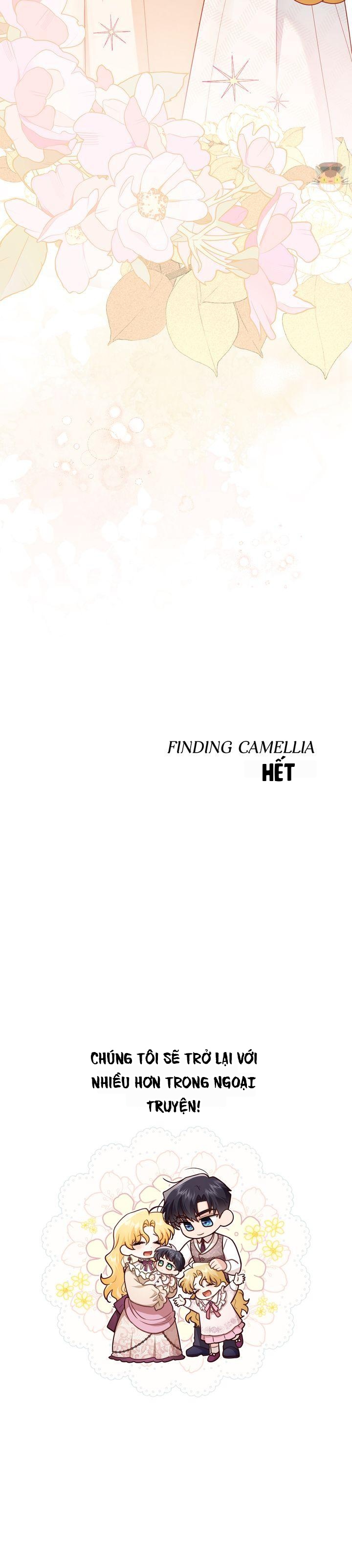 Tìm Lại Camellia Chapter 131 - 36