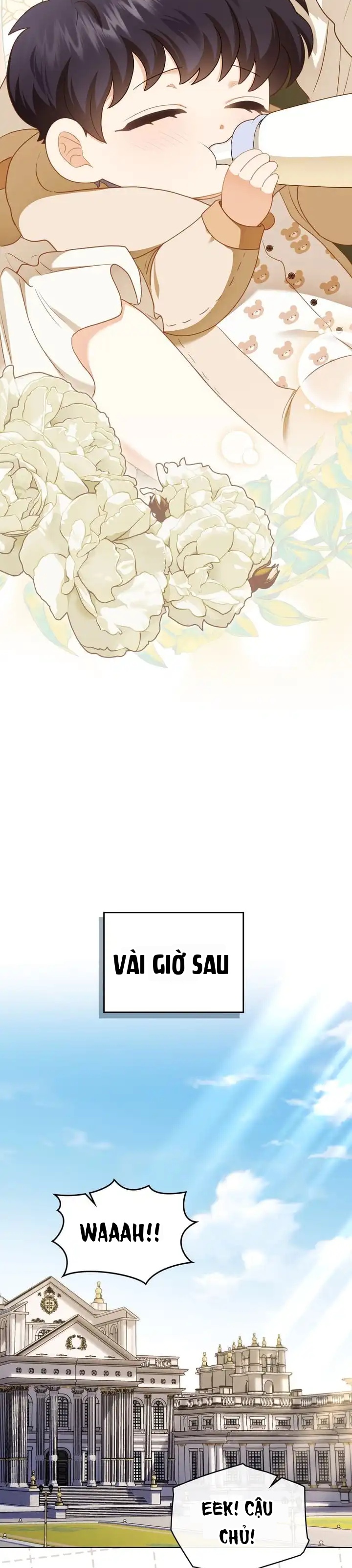 Tìm Lại Camellia Chapter 133 - 17