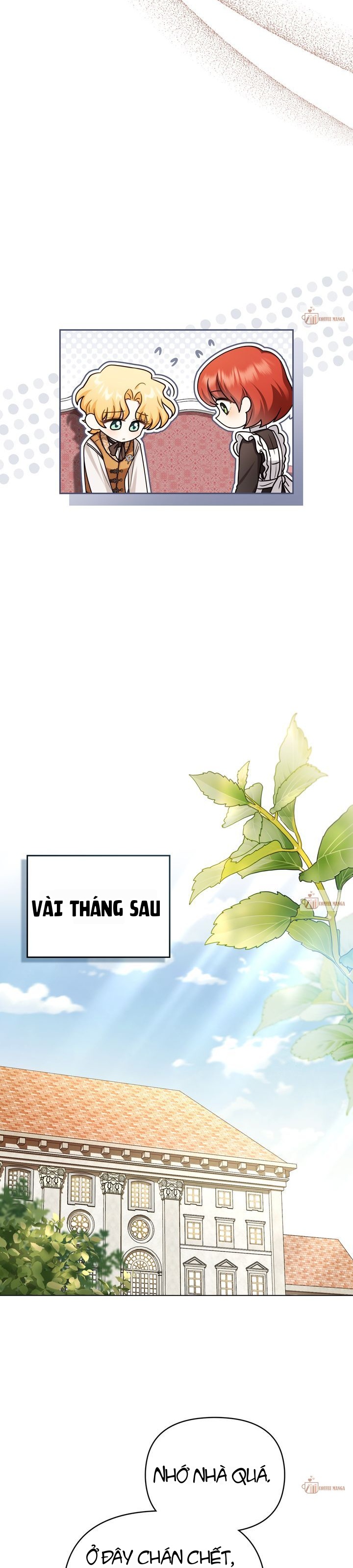 Tìm Lại Camellia Chapter 142 - 5